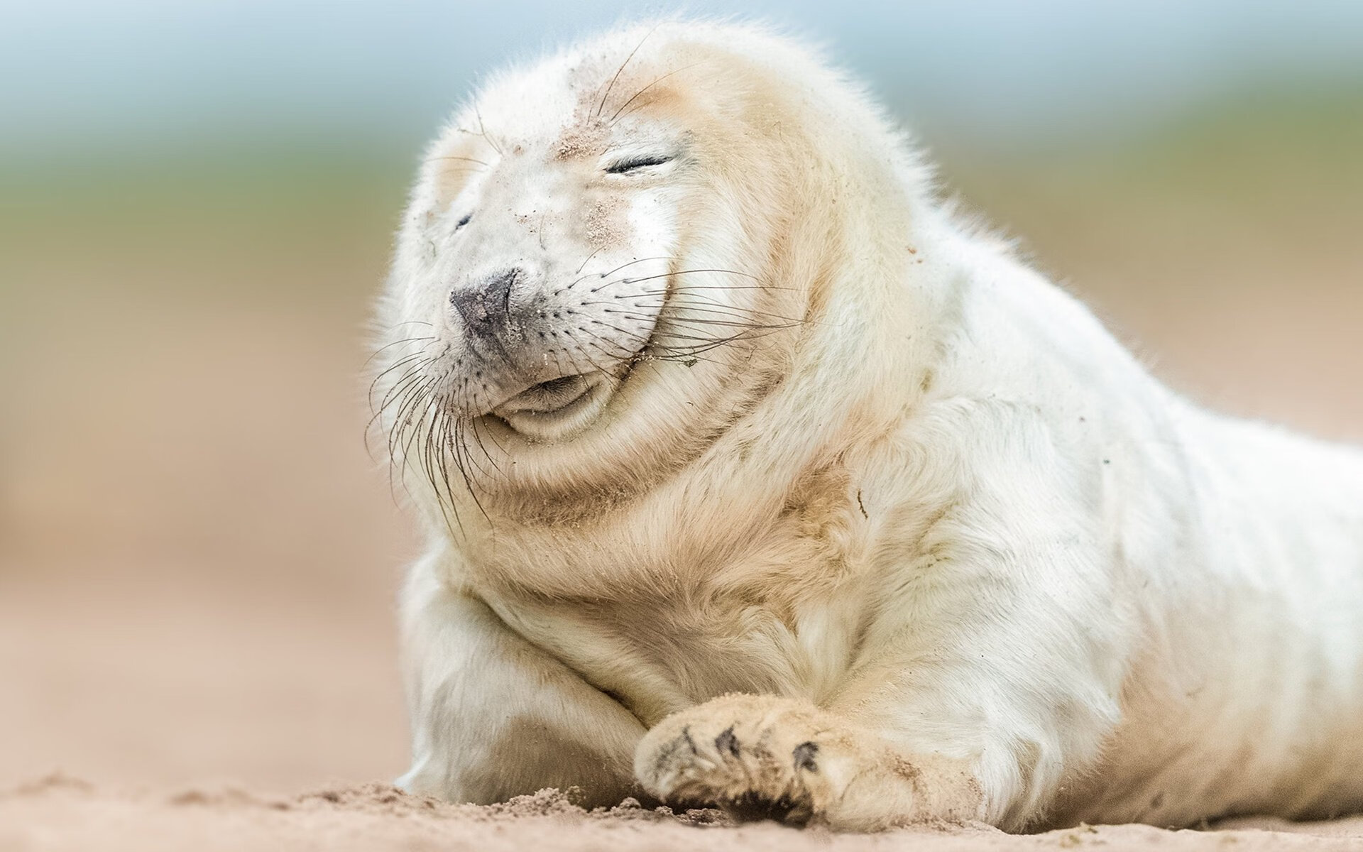 爱游戏电竞官网入口-中国篮球裁判员交流培训会议成功举办，中国篮球协会裁判员证书含金量