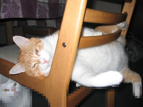 爱游戏app-传奇巨星的“人生第二春”，退役后继续影响联盟，传奇退役选手